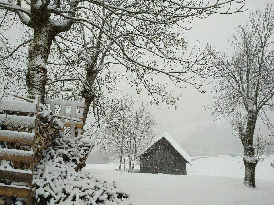 Chalet Lucie Le Cheval Noir Вальморель Экстерьер фото